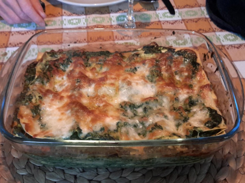 Recipe Spinach lasagna, smoked salmon and ricotta - FRIJE